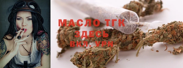 прущие грибы Заводоуковск