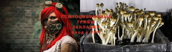 крисы Заволжье