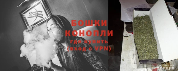 прущие грибы Заводоуковск