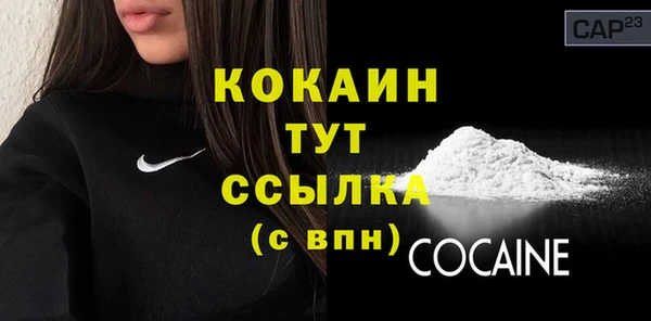 прущие грибы Заводоуковск