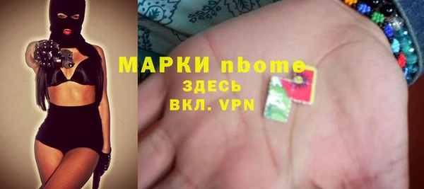 прущие грибы Заводоуковск