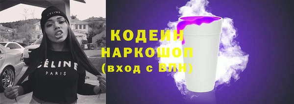 прущие грибы Заводоуковск