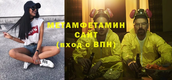 прущие грибы Заводоуковск