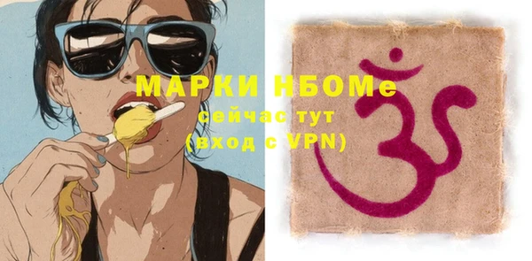 прущие грибы Заводоуковск