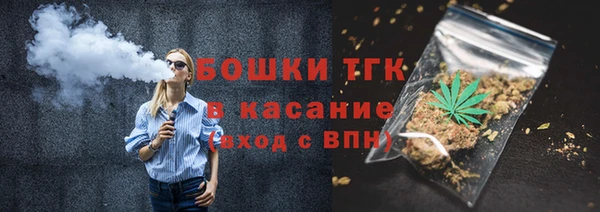 прущие грибы Заводоуковск
