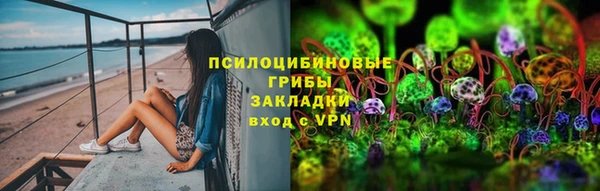 прущие грибы Заводоуковск