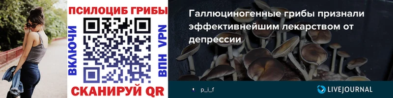 как найти   Пятигорск  Галлюциногенные грибы MAGIC MUSHROOMS 