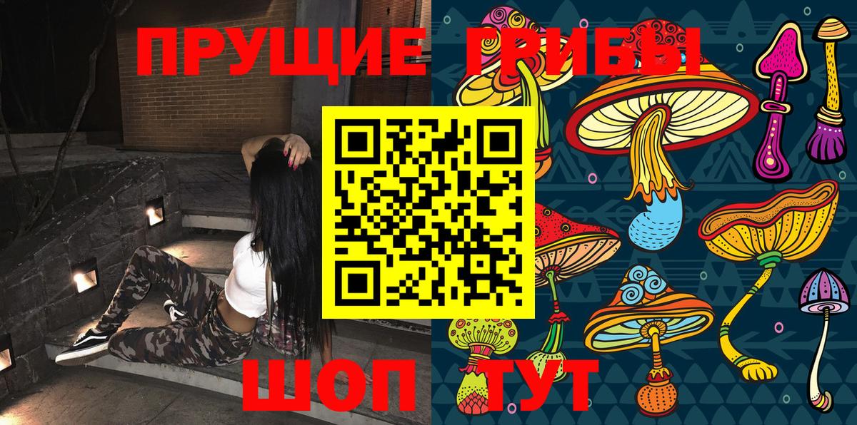 Пятигорск  Галлюциногенные грибы ЛСД  Вход с VPN 