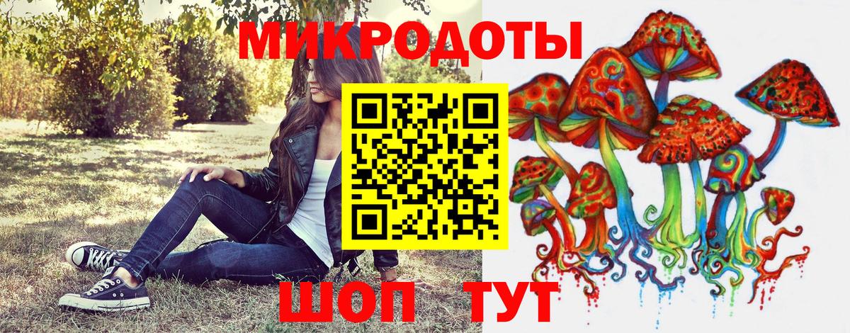 LSD-25 Пятигорск